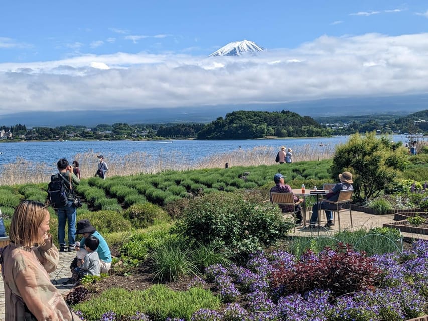 1 Day 10 Hrs Mt Fuji & Lake Kawaguchiko Tour With Eng Driver