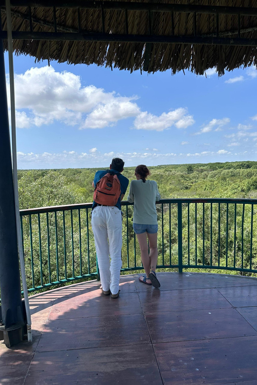 1-Day Can Gio Island- Mangrove Biosphere Reserve With Lunch