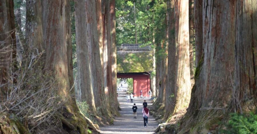 1-Day Togakushi: Soba Making, Ninja Town and Hidden Shrines