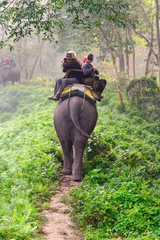 1 Night 2 Day Chitwan Safari Tour Pokhara