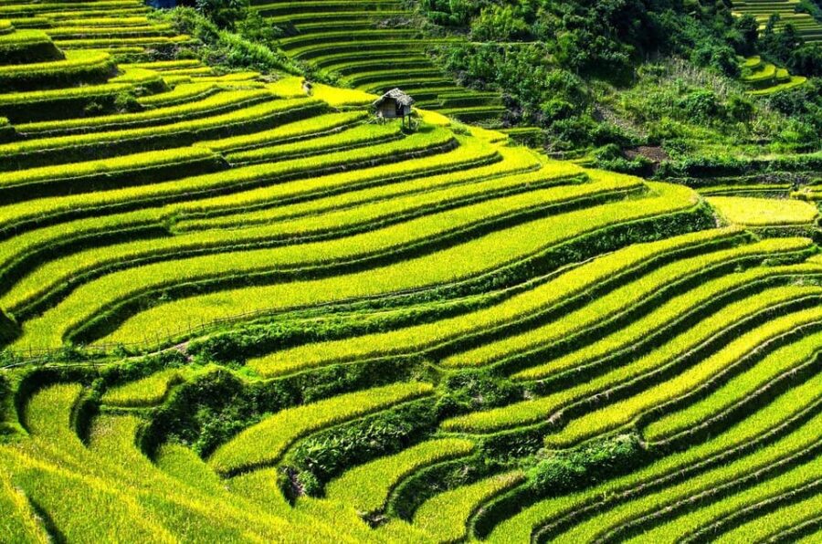 12-DAY Vietnam and Cambodia Tour With Hạ Long Bay Cruise