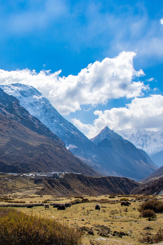 14 Days Manaslu Trek