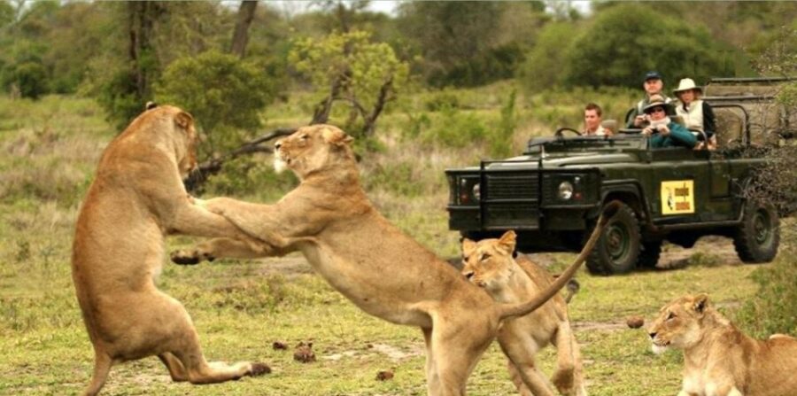 2 Day Hluhluwe Imfolozi & Isimangaliso Tour From Durban