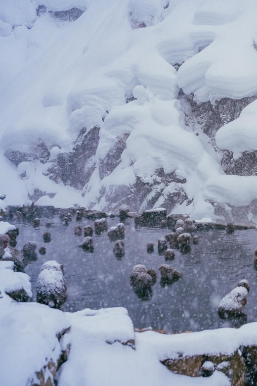 2-Day Snow Monkey Tour: Nagano To Takayama via Matsumoto