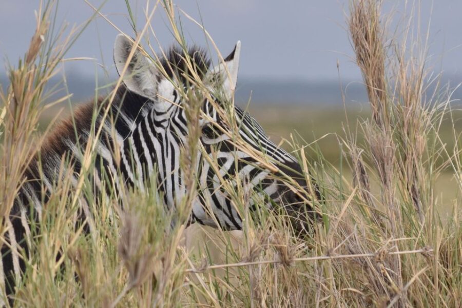 4 Best 2 Day Tours In Mombasa