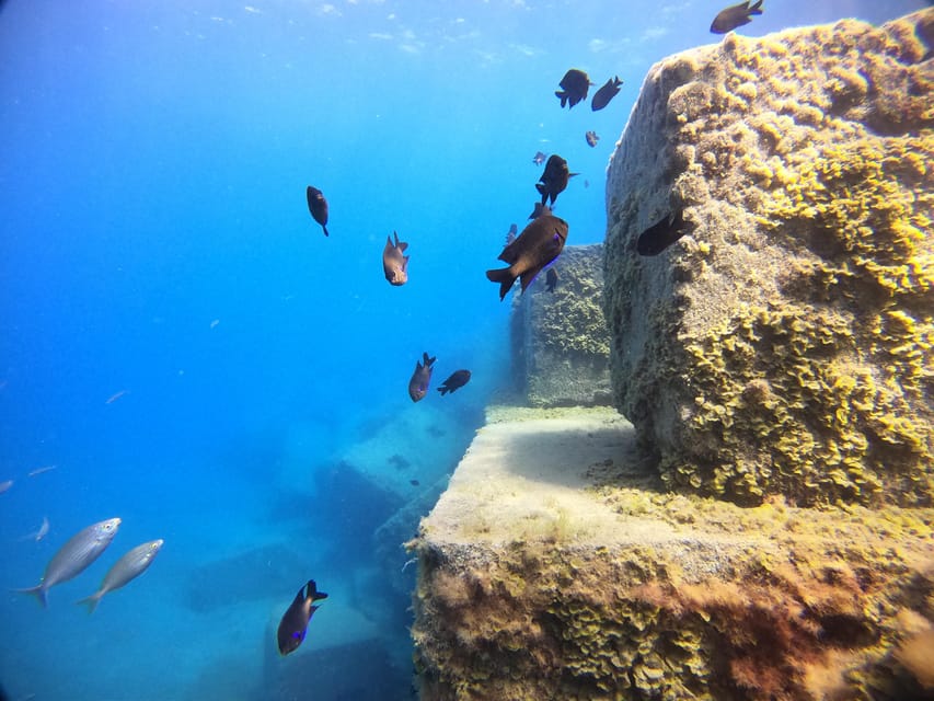 2 DAYS – 3 DIVES