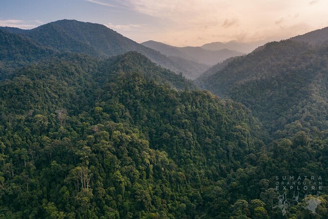2 Days and 1 Night Ethical Jungle Trek