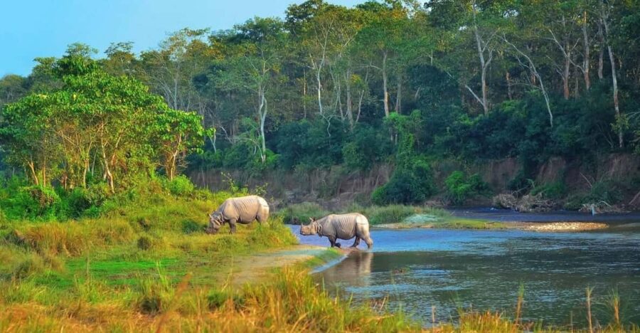 2 Days Chitwan Jungle Safari Tour From Pokhara/Kathmandu