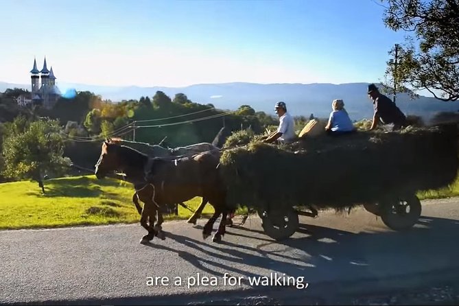 2 Days Private Tour Transfagarasan Road & Sibiu (June - October) From Bucharest - Tour Overview