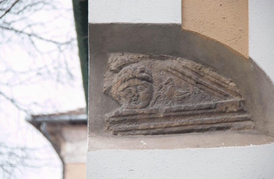 2 Hours Buda Castle Walking Tour - Walk With a Historian - Tour Overview