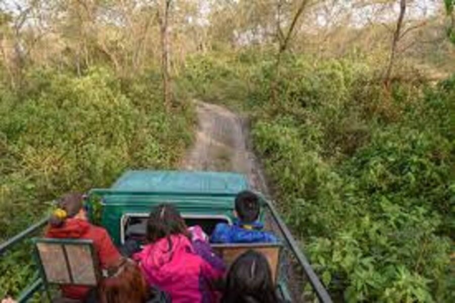 2 Night 3 Days Chitwan National Park Tour From Kathmandu