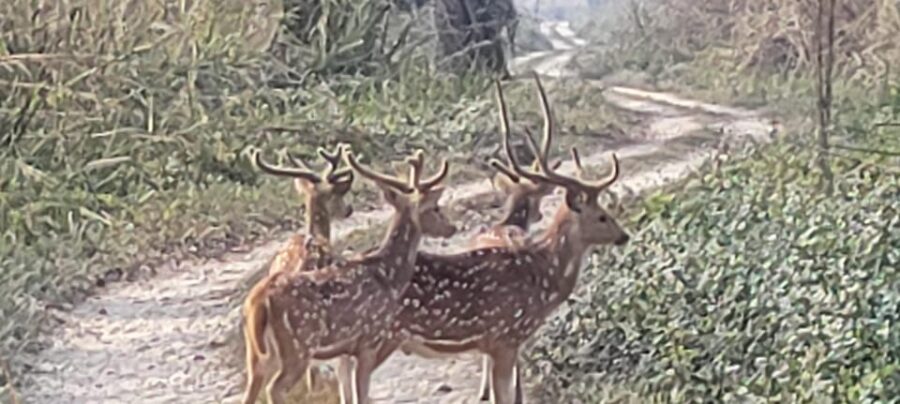 19 Best 3 Day Tours In Pashchimanchal Western Region