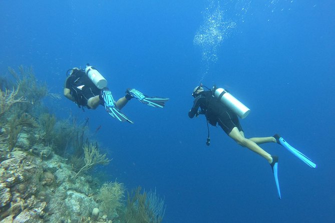 2 Tank Boat Dive