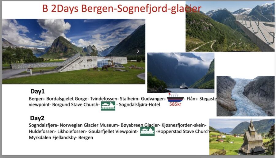 2days Tour to Hardanger and Flåm or Sognfjord Glacier Flexib