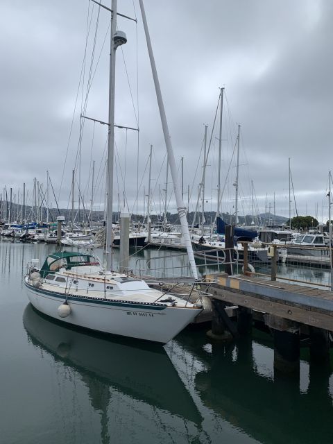 2hr - INTERACTIVE Sailing Experience on San Francisco Bay