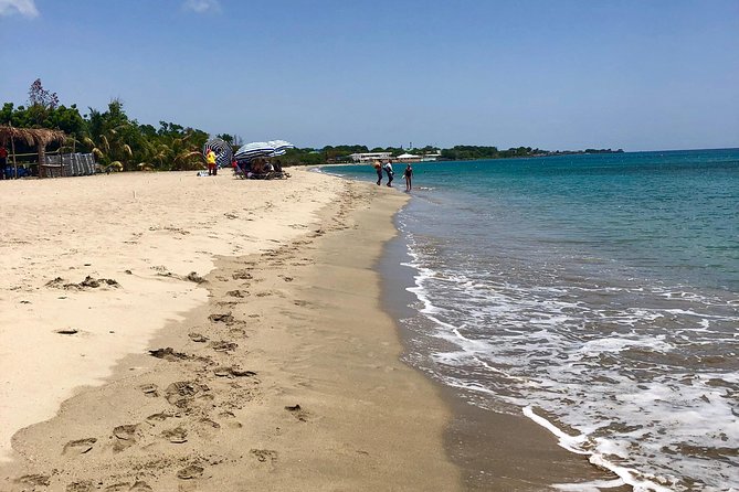 3.5hr Private Power Catamaran Snorkel and Beach Experience - Inclusions and Amenities