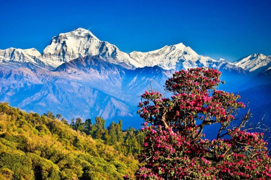 3 Day Ghorepani Poonhill Private Trek Pokhara