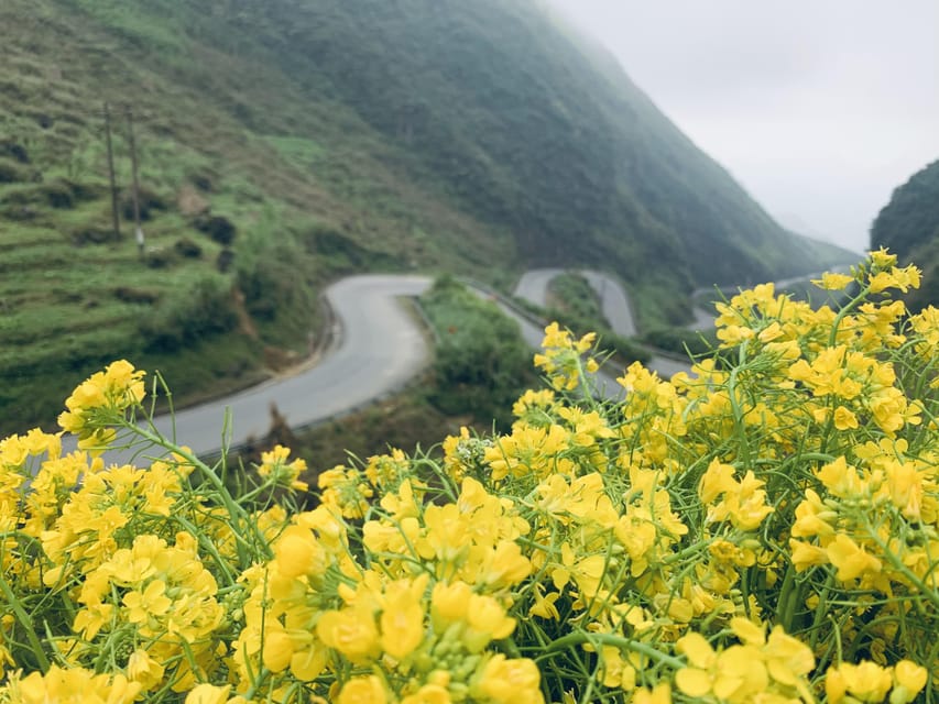 3-Day Ha Giang Loop Group Tour by Car, Motorbike & Easyrider