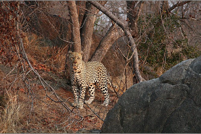 3 Day Kruger National Park and Crocodile River Safari