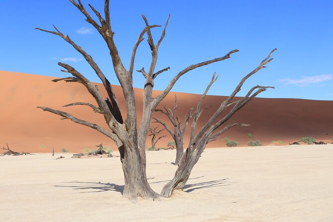 3 Day Sossusvlei Camping Schedule and Sandwich Habor