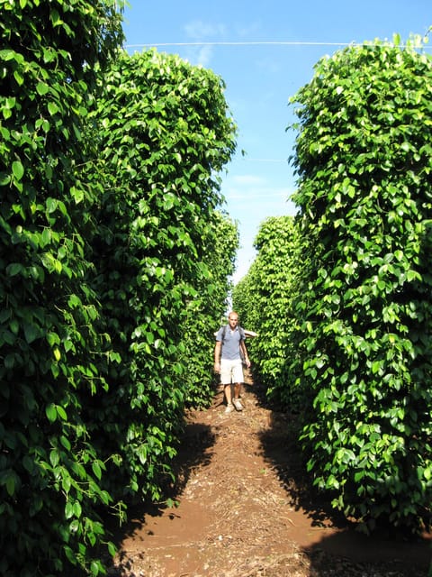 3 Days Dalat to Nha Trang via Central Highland Tour