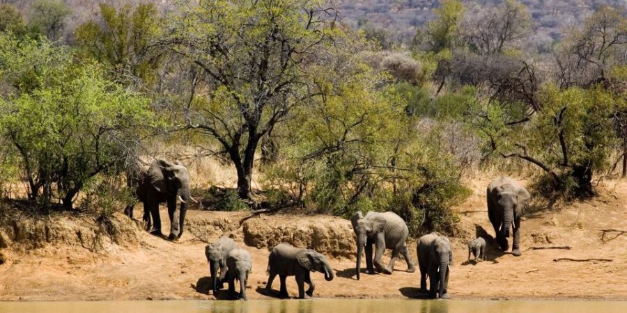 3 Best 3 Day Tours In Pilanesberg Nature Reserve