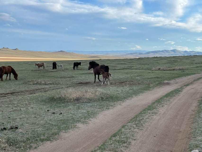 3 Days Tour of Central Mongolia