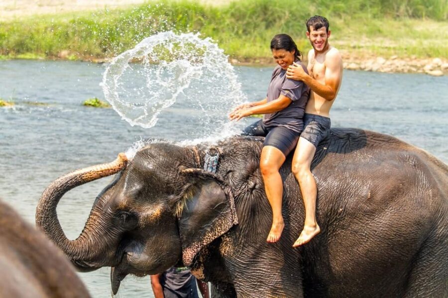 3 Nights 4 Days Chitwan National Park With Tower Night Stay
