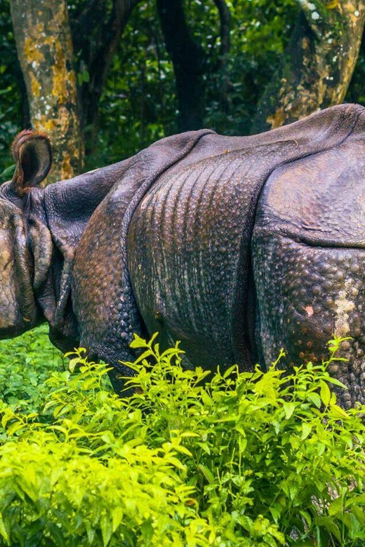 3 Nights Chitwan Adventure With 1 Night Jungle Tower Stay