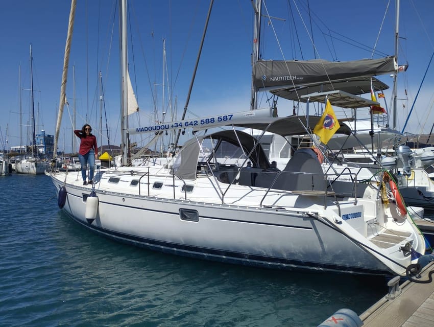 3h Whale Watching Private Tour Beneteau Oceanis 440