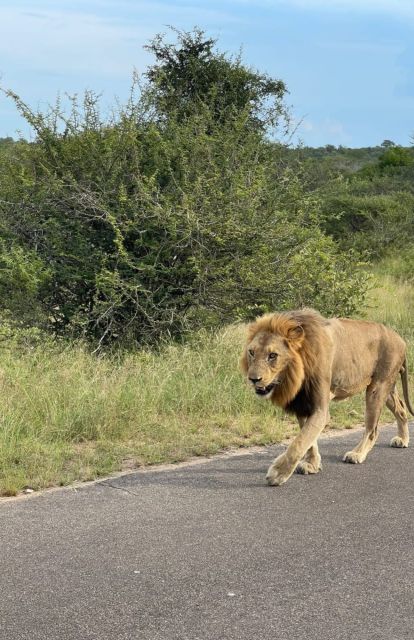 6 Best 4 Day Tours In South Africa