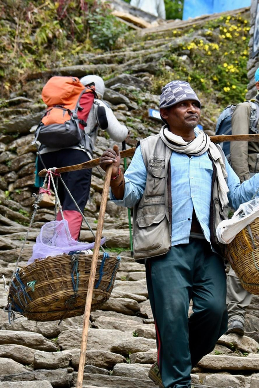 4-Day Mesmerizing Mardi Himal Guided Trek Pokhara