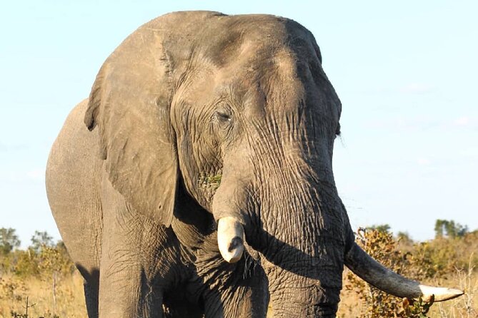 4 Days Victoria Falls Safari Tour & Chobe National Park Game Drive
