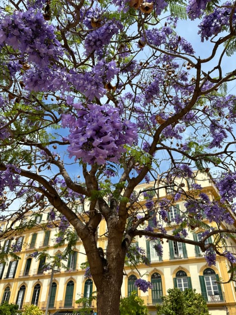 45 Minutes Flamenco Dance Class for Family in Málaga - Class Overview
