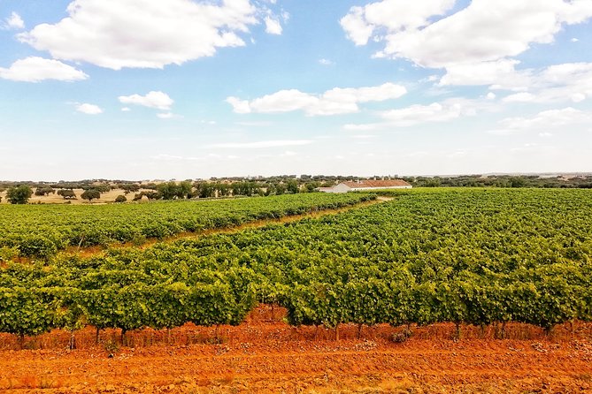 4x4 Cork Tour With Lunch & Wine Tasting