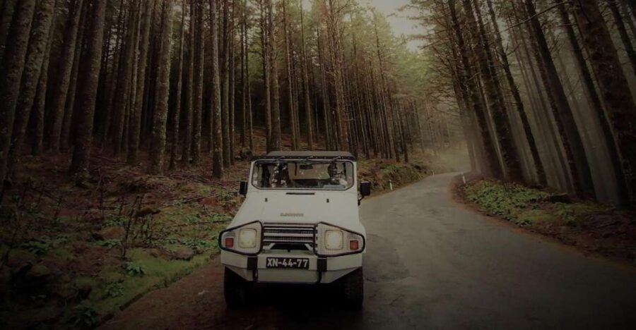 4x4 Jeep Tour to the East & Northeast of Madeira - Tour Overview