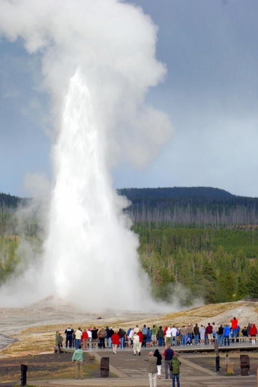 5-day Tour Yellowstone Park Los Angeles-Salt Lake City - Tour Overview
