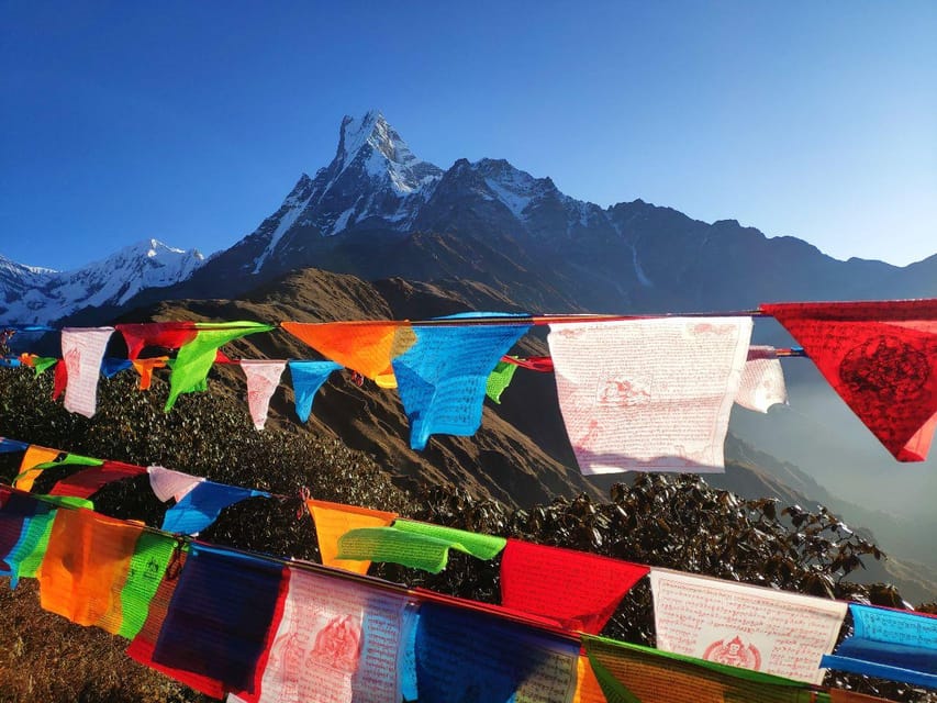 5 Days Mardi Himal Trek - Trek Overview