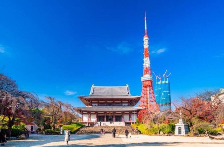 5-Days Private Tour Tokyo, Mt Fuji, Nikko, Hakone and Nagano