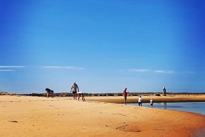 5 Hour Boat Tour in Ria Formosa