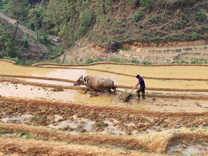 6-Days Sapa Trekking & Ha Giang Loop Motorbike Tour - Tour Overview