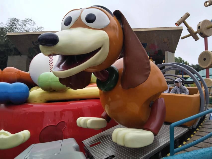 6 Hour Private Tour in Disneyland