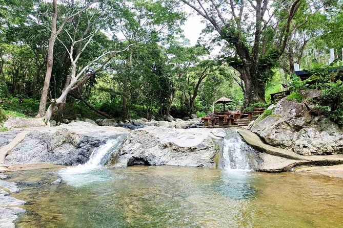 6 Hours Giant Zipline Adventure Park in Fiji