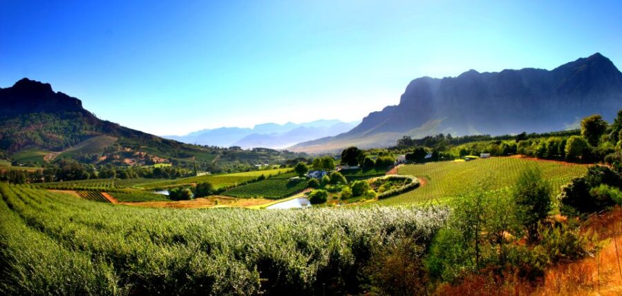 7 Days Cape Town Tour - Tour Overview