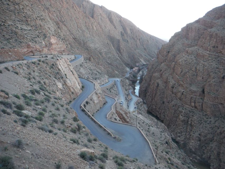 7 Days Tour to the Sahara and Imperial Cities From Marrakech - Tour Overview and Pricing