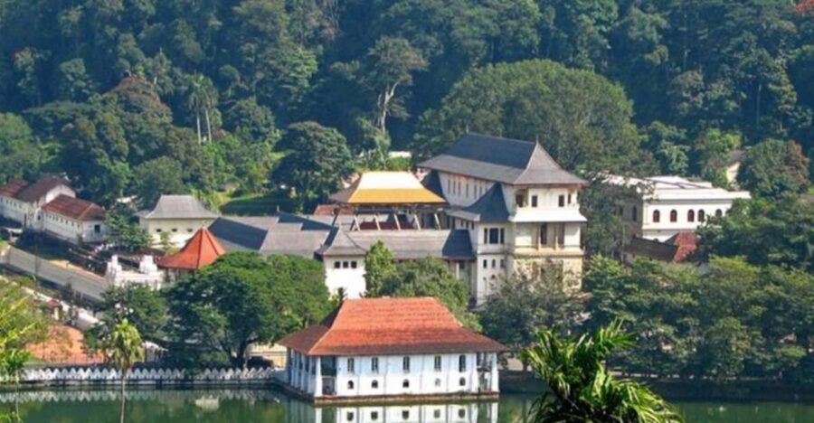 8-Day Cultural Triangle & Wildlife Tour - Tour Overview and Pricing