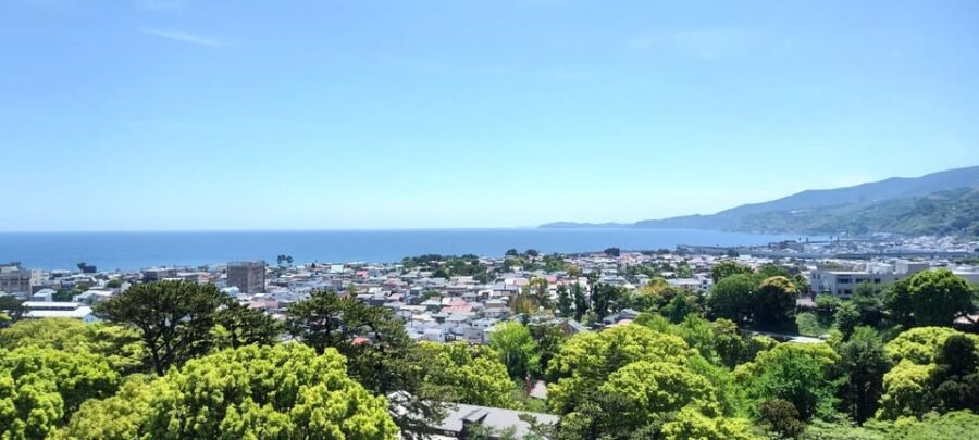 A History of Castles and Shoguns in Odawara