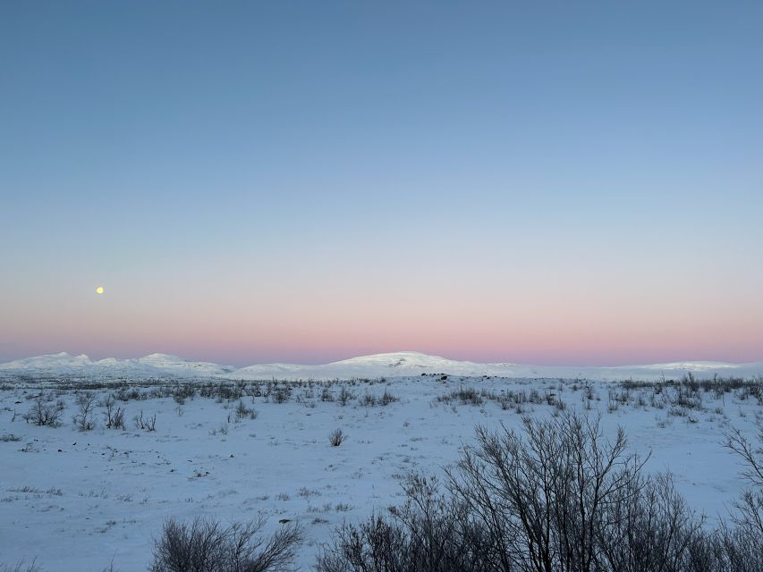 Abisko: Guided Sunrise Morning Hike With Hot Chocolate - Activity Overview