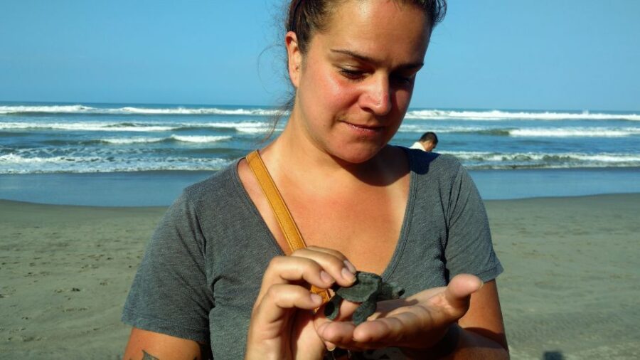 .Acapulco: Baby Turtle Release Tres Palos Lagoon Eco W/Lunch