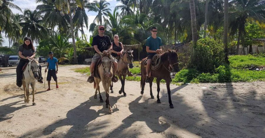 .Acapulco: Gentle Beach Horse Riding Tour on Barra Vieja